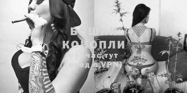 тгк Богданович