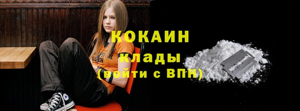 тгк Богданович