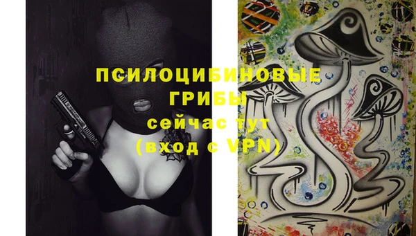 тгк Богданович