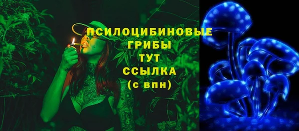 тгк Богданович