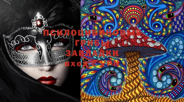 тгк Богданович