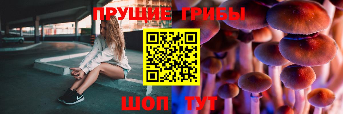 Галлюциногенные грибы Cubensis Реж