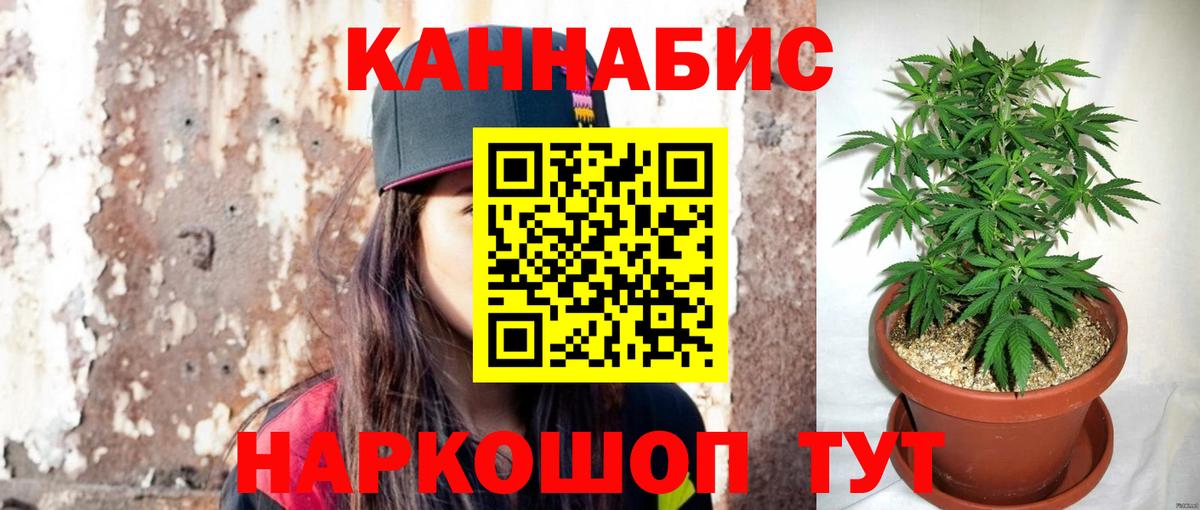 Каннабис тримм  МАРИХУАНА ГИДРОПОН  Вход с VPN  Реж  МАРИХУАНА LSD WEED  Бошки Шишки SATIVA & INDICA 